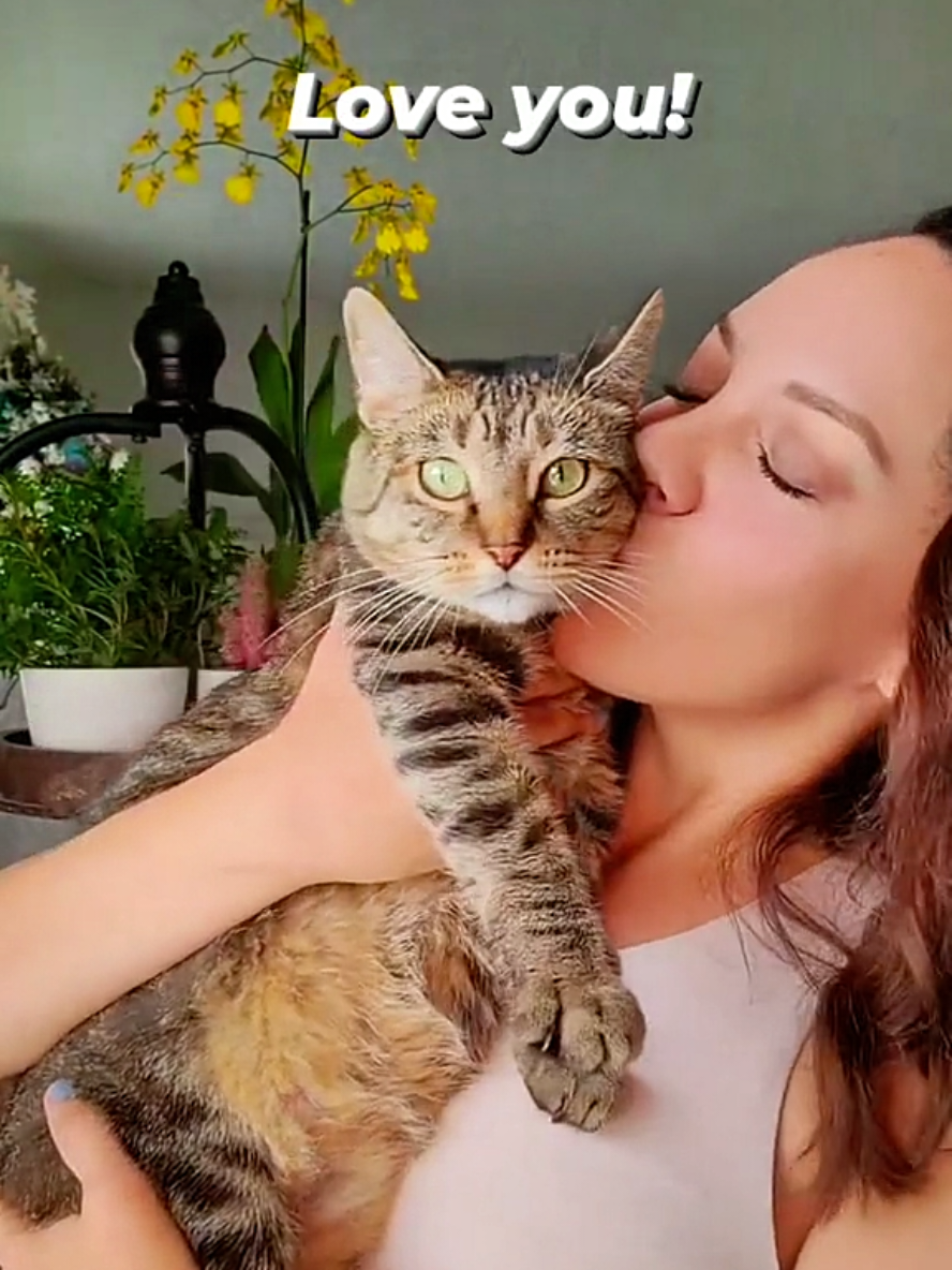 What I say to my cat when she complains about my smooches 😘  #catsoftiktok #catlover 