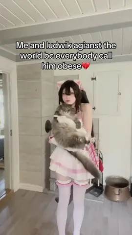Poor Ludwik chan #nekopara #chocolacosplay #nekoparacosplay #catgirl #コスプレ #fypシ #altgirl 