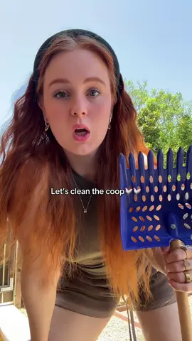 Honestly cleaning it is so satisfying 🤣 : : #chickensoftiktok #coopcleaning #coopcleaningday #chickencoop #coopscoop #chickenhacks 