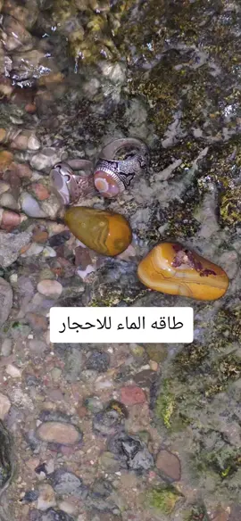 الماء#البحر #تاثير#البحر#طاقه_ايجابيه💜 #الشعب_الصيني_ماله_حل😂😂 