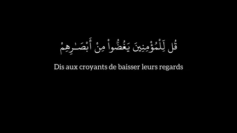 Surah An-Nur 30 | Hudaify #quran #coran #surah #sourate #recitation #fyp #fy 