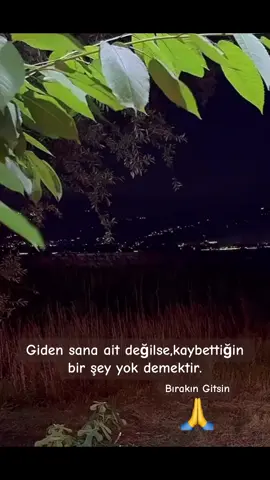 Giden sana ait değilse kaybettiğin bir şey yok demektir #bırakın #gitsin #ibrahimtatlıses #arabesk #keşfetbeniöneçıkarttiktok #kesfetbenionecikart #kesfetttttttttttt #❤️🙏 