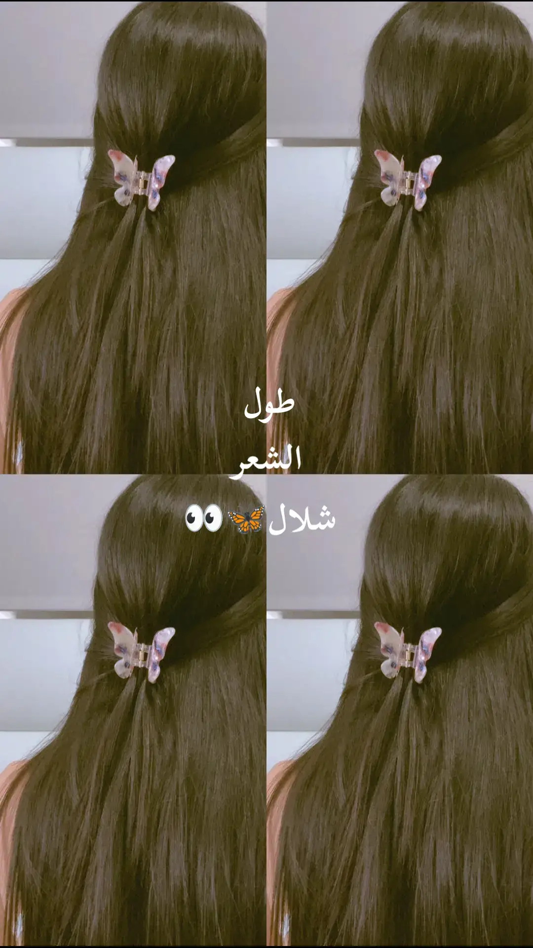 #شعب_الصيني_ماله_حل😂😂  #مابيه_حيل_اخلي_هاشتاكات # #فلتر_الفراشات #فلتر 