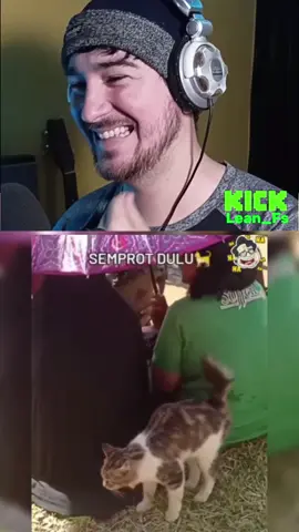 el gato le meo la espalda
