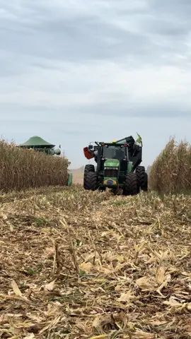 Pega essa cena🚜🇧🇷🌽🙏🏻 #agriculture #agro #milho #colheita #johndeere #7J #brasil #parana #fypageシ #fyppppppppppppppppppppppp #vaiprofycaramba #explore 