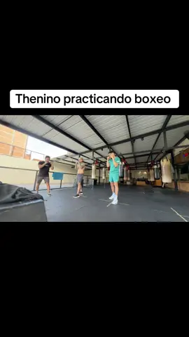 #zwarror #thenino #kick #streamer #fyp 