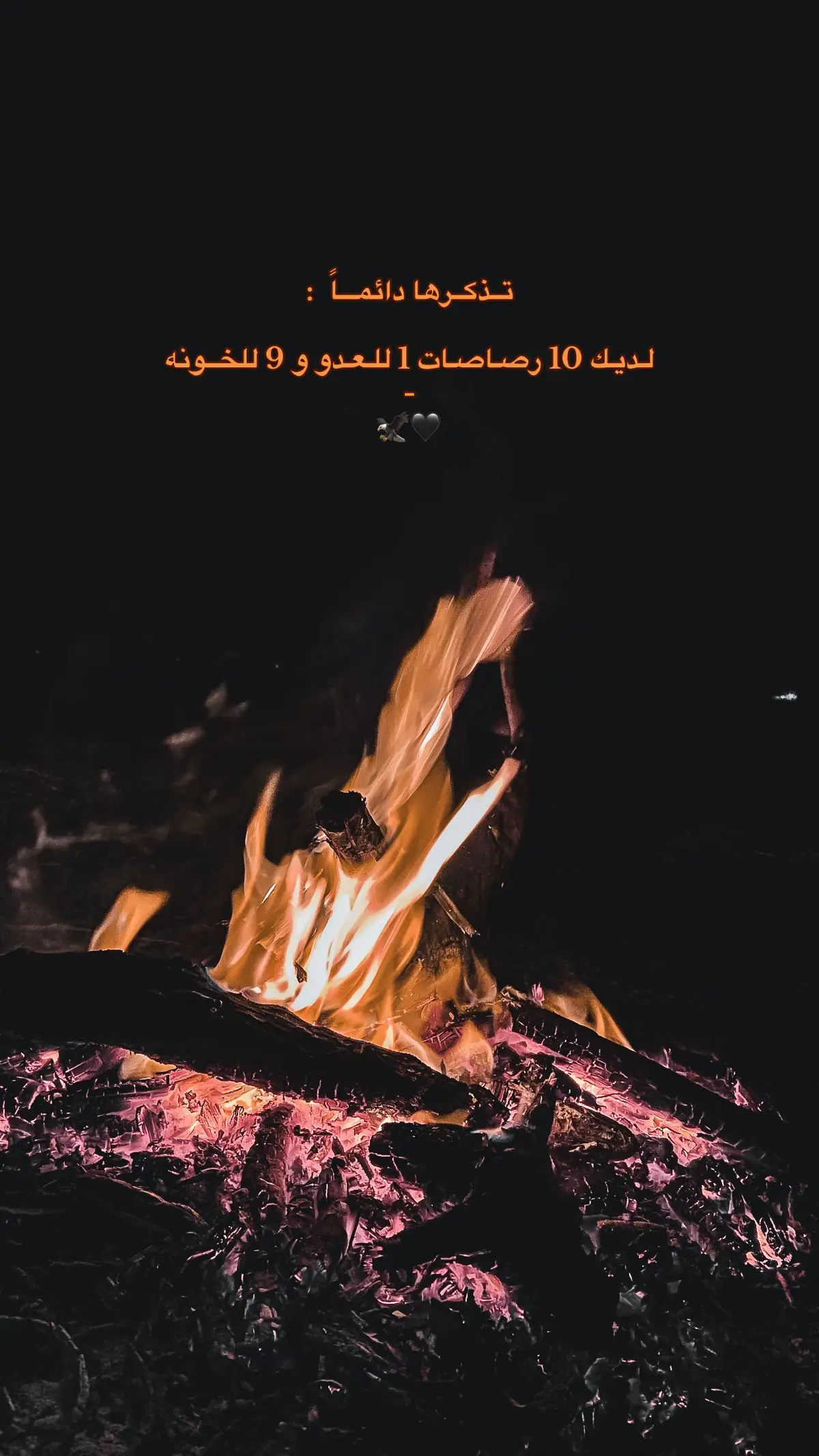 #ضياع #عبارات #اقتباسات #خواطر_للعقول_الراقية #سرتنا_سرت_ليبيا💚🌻 #اكسبلور #وادي_الذئاب @﮼ضياع 𓀙 . 