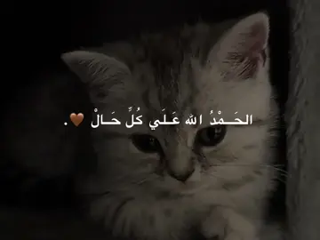 الحمدلله علي كل حال 🥹 #الحمدالله_علی_کل_حال❤ #alhamdulillah #اللهم_صلي_على_نبينا_محمد #fyp #fpyシ #viral #muslem_31 #tiktok @TikTok 