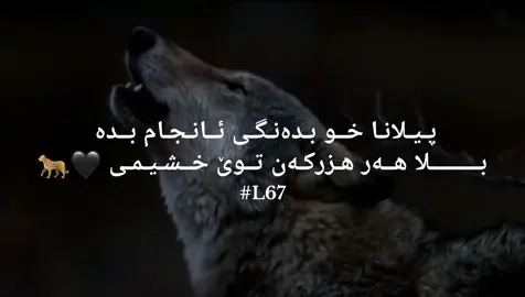 2:21 🐆🖤 #🐆🖤 #viaralvideo #L67 #شعب_الصيني_ماله_حل😂😂 #tiktok #fypage #zakho_duhok_hawler_slemani_akre #پەیڤ #viral #nzoree_ 