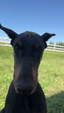 lil bro didn’t wanna hang out ig