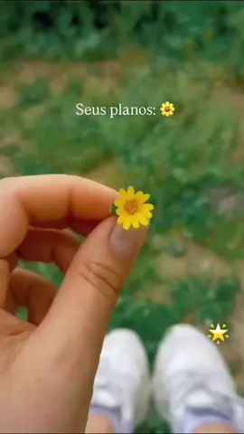 Os planos do Senhor são maiores do que os nossos, acredite e confie 🌼🤍 . . . . . . . .#girassol #reflexão #fy #foryoupage 