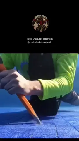 Todo Dia um Final ao Som do Linkin Park 😰   #linkinpark #linkpark #linkiinpark #meme #memes #tododialinkempark #tododia #todomeme #todosmeme #memesbrasileiros #memesgraciosos #memesrlife #memetime #memetime #memesengraçados #memess #memesquad #memestop #mememusica #memesmusica