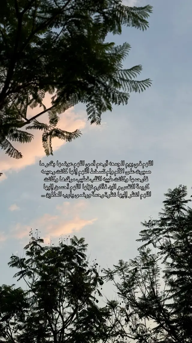 #الجمعه #أمي_جنتي #أكسبلور #ادعولها_بالرحمه 