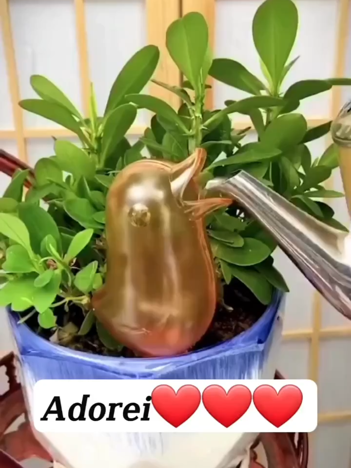 Ferramenta de irrigação automática em formato de pássaro, ideal para gotejamento contínuo e cuidado de plantas internas. https://s.shopee.com.br/2qIwlo9GQ3  #IrrigaçãoAutomática #GotejamentoDePlantas #CuidadosComJardim #DecoraçãoEFuncionalidade #PlantasFelizes