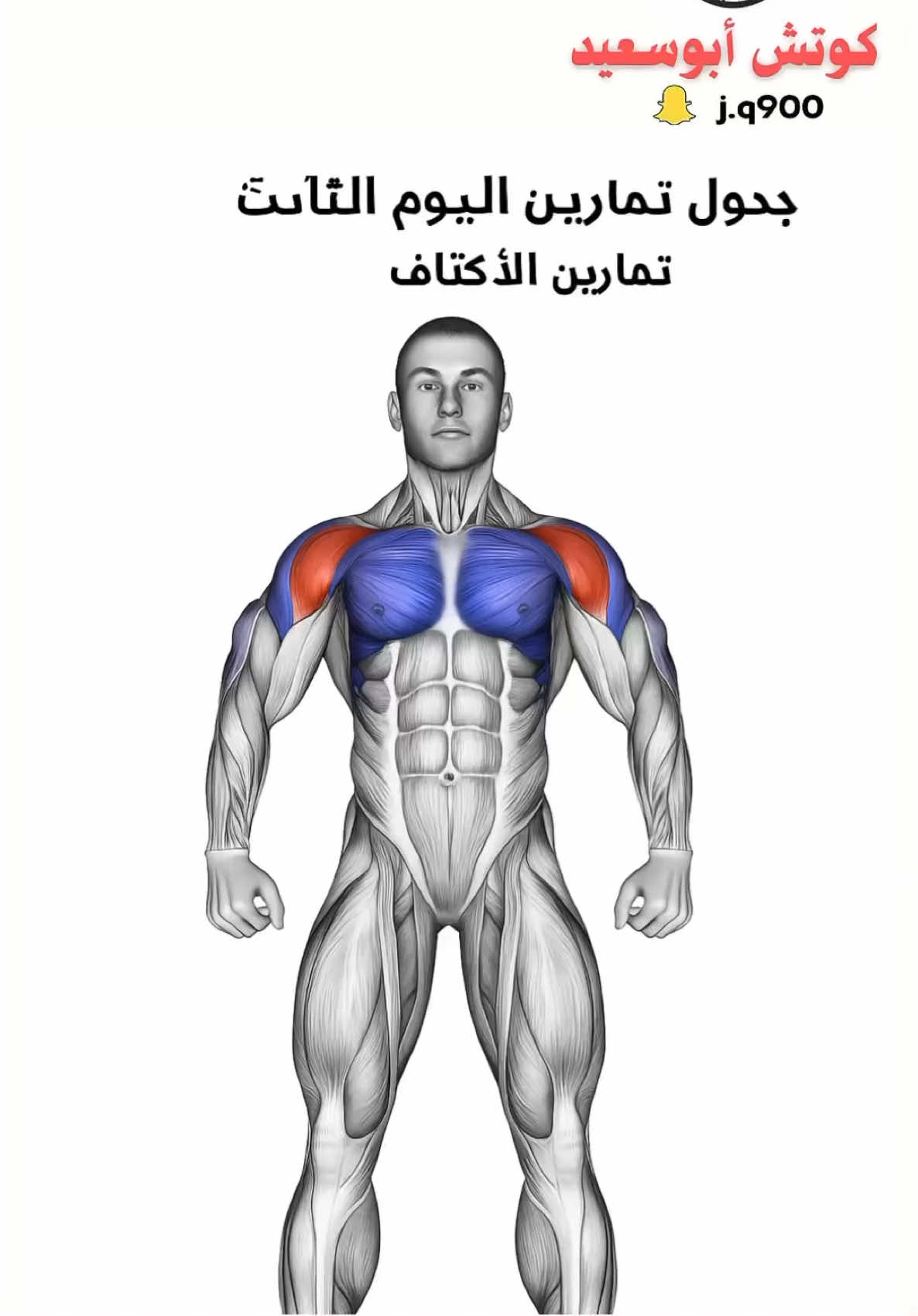 جدول تمارين اليوم الثالث تمارين الأكتاف #كمال_اجسام #رياضة_كمال_اجسام #اكسبلور #ترند #gym 