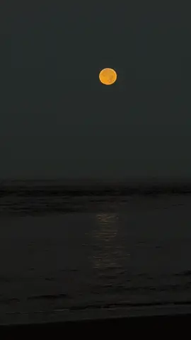 🎻😍 #parati #lugardepaz #fullmoon🌕 #peace🍃🌕 