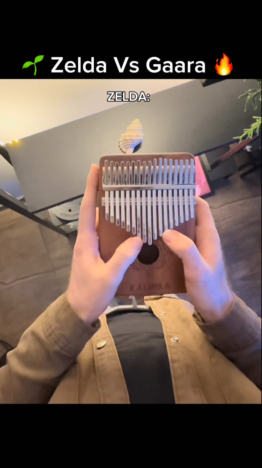Zelda = 🌱  Gaara = 🔥