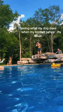 Our personal life gaurd i guess you could say 😂💁🏼‍♀️ ##swimming##germanshepherd##smart##dog
