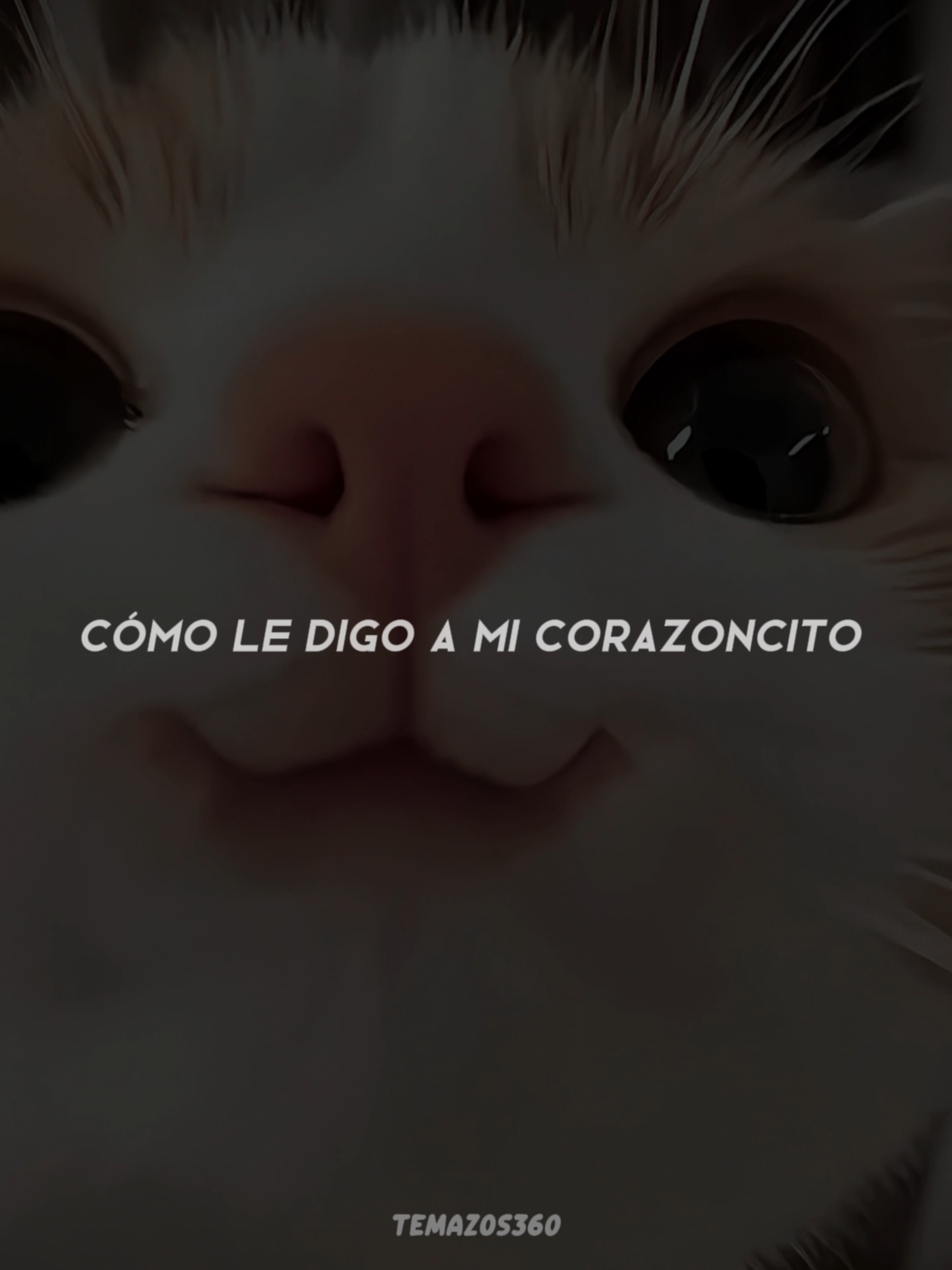 Qué le digo yo a mi corazoncito... #lyrics #paratii #rolitaschidas #paraestados #paradedicar #metienesloca #grupoocobamba