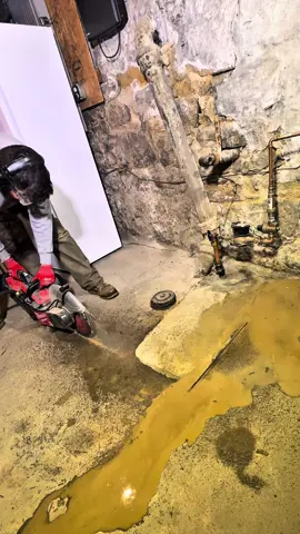 house trap replacement #plumbing 