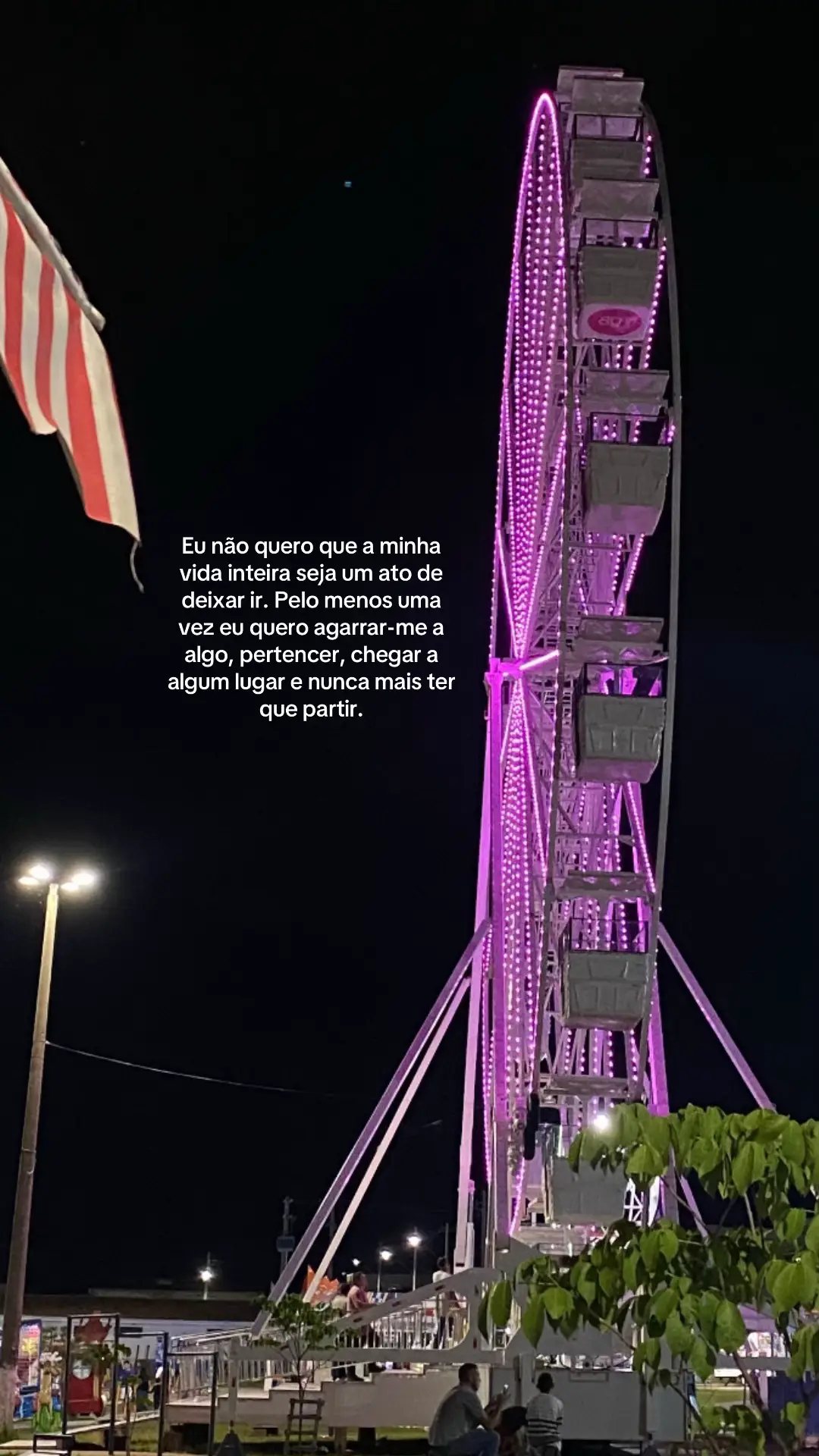 🎡