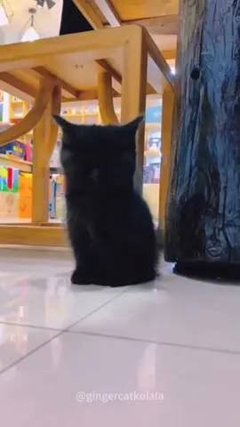 The cute little one is feeling sleepy, should I wake it up