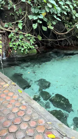 1068 || #fyp #simalungun #sidamanik #bahdamanik #pemandian #pemandianbahdamanik 