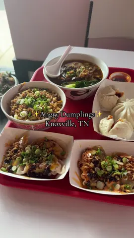 Angry Dumplings #knoxville #tennessee #asianfood #dumplings #Foodie #mukbang #foodreview #tn #food #ramen #fyp 