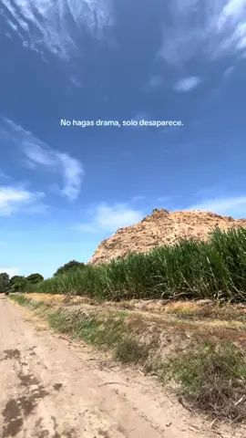 🦦🤯 #fyp #video #viraal 