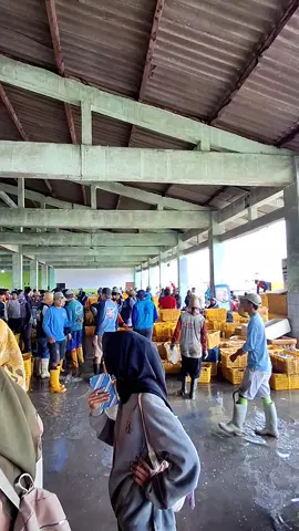 jum'at 20 juni 2025 kawasan dilarang sambat... tapi sambat titik gpp😅 #rembang #rembanghits #fupシforyou #fyppppppppppppppppppppppp #fyp #masukberanda #pelitfyp🎟️ #fypシ゚viral #fypkuy #tpi #tpitasikagungrembang #tasikagung #tasikagungrembang 