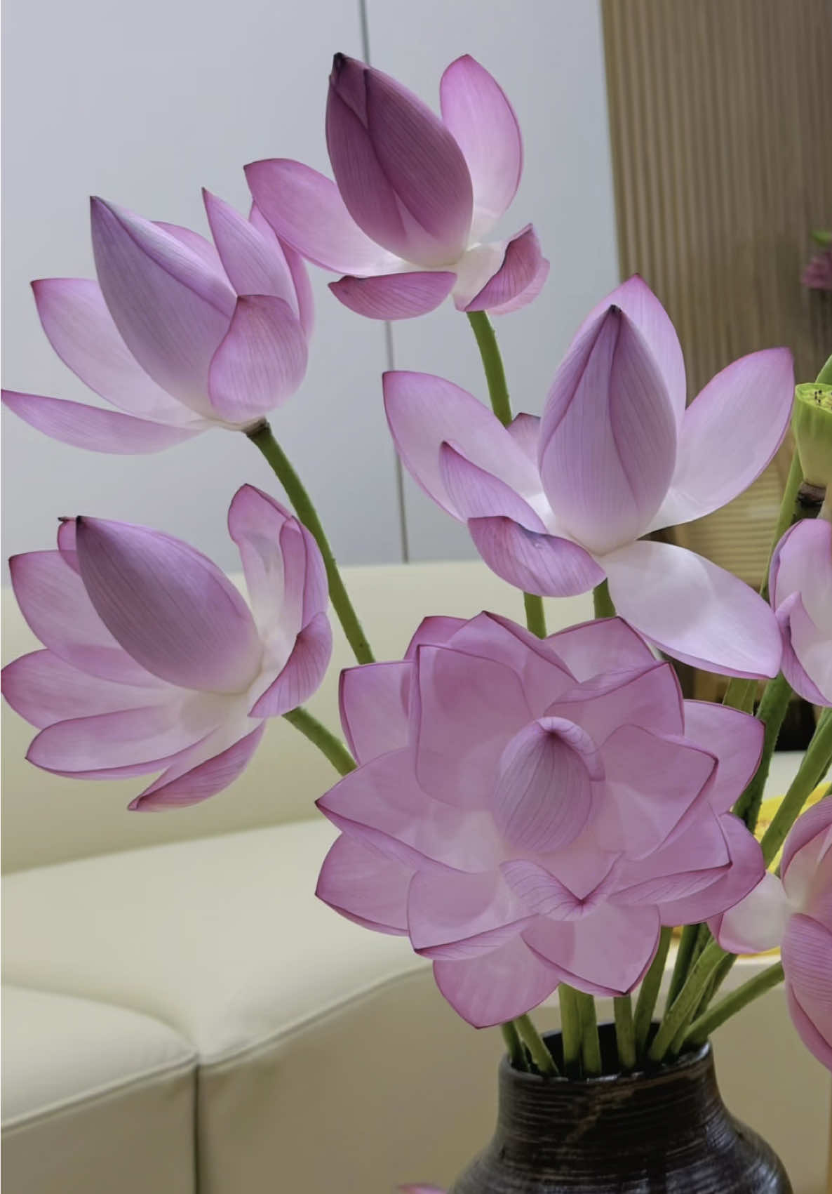 Nhìn xem mùa hạ đang tới, phải ngắm Nghi Lương thôi #nguyetslight 