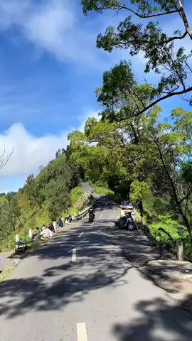Tempat ngopi dan makan bakso yang estetis #areabromo