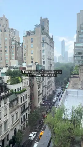 My favorite kind of afternoon #nyc #thunderstorm #summerstorms #newyorkcity #centralpark 