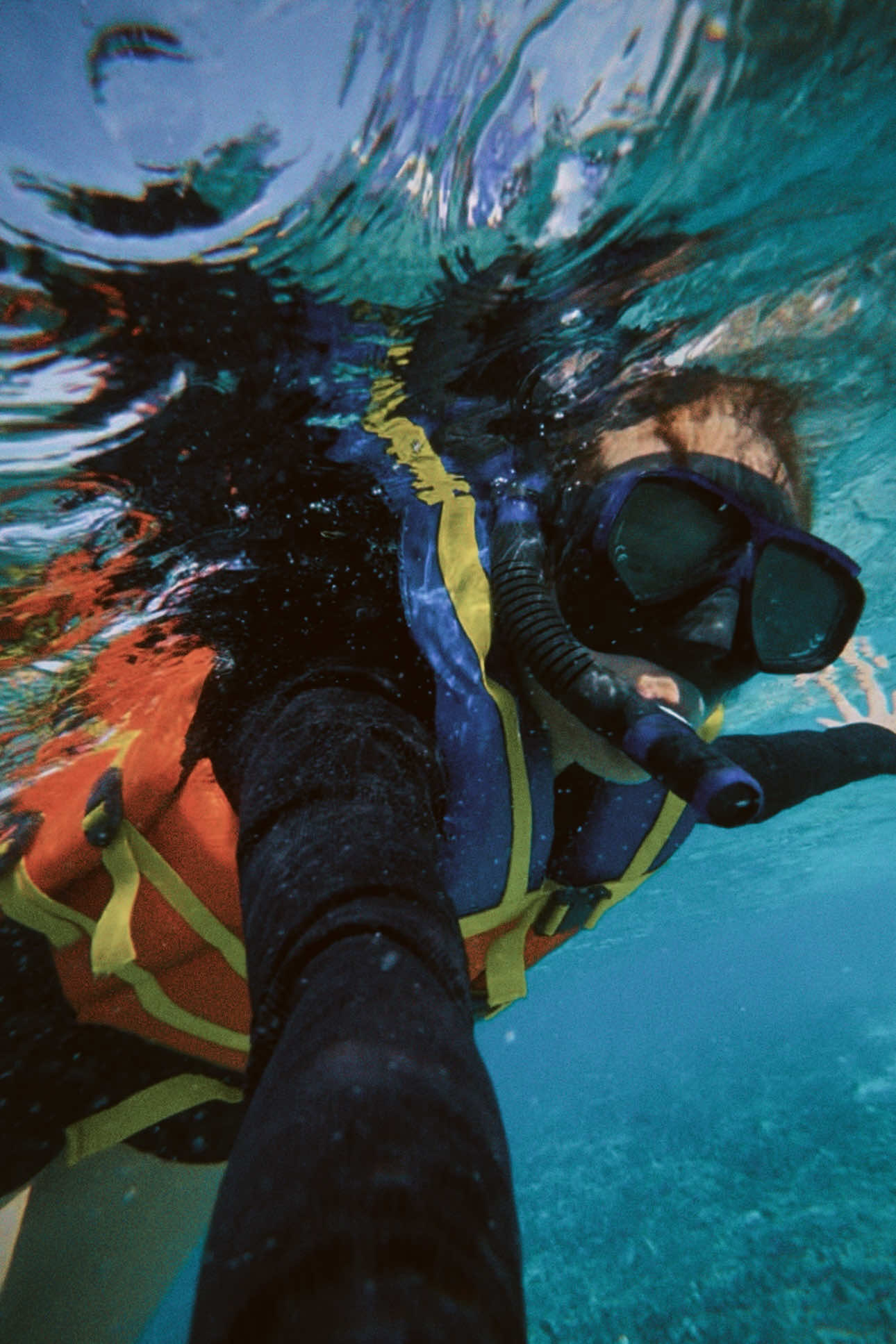 life lately 🤿🐟🐠🙏🏻🌊🫧🦈 #labuanbajo #lepiratesisland #saboloisland 
