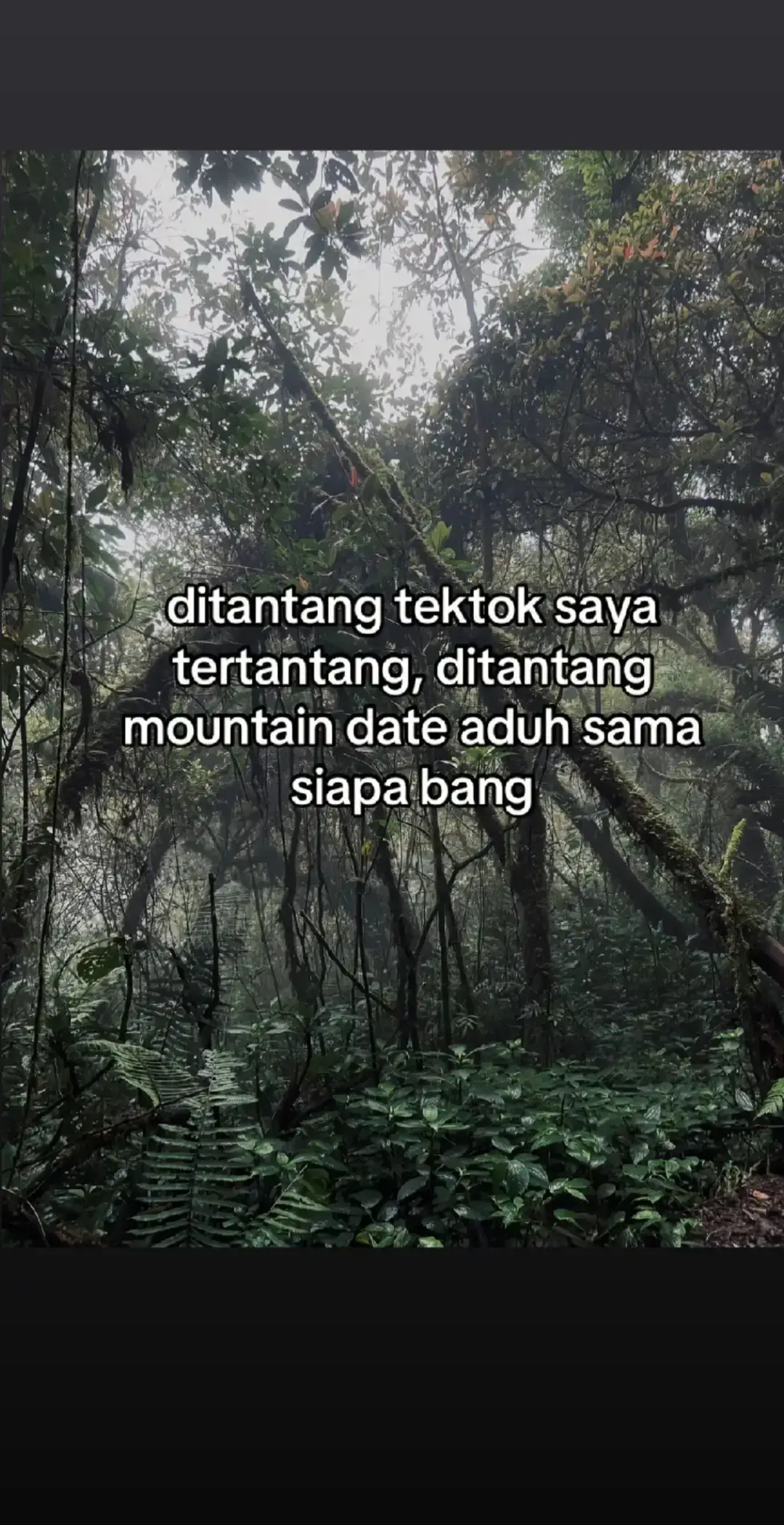 #lestarialamku #CapCut #fyp #pendakigunungindonesia #pendakiindonesia #pendakigunung #lawumountain3265mdpl #EkspresikanDenganCapCut 