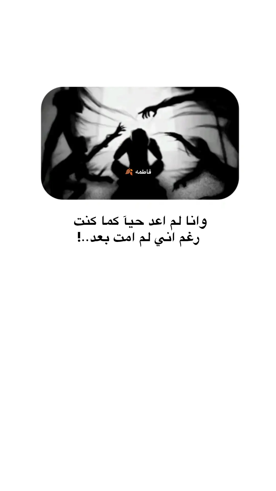 #سماوه_مدينتي #شعراء_وذواقين_الشعر_الشعبي🎸 #اكسبلور #fyp #fypシ 