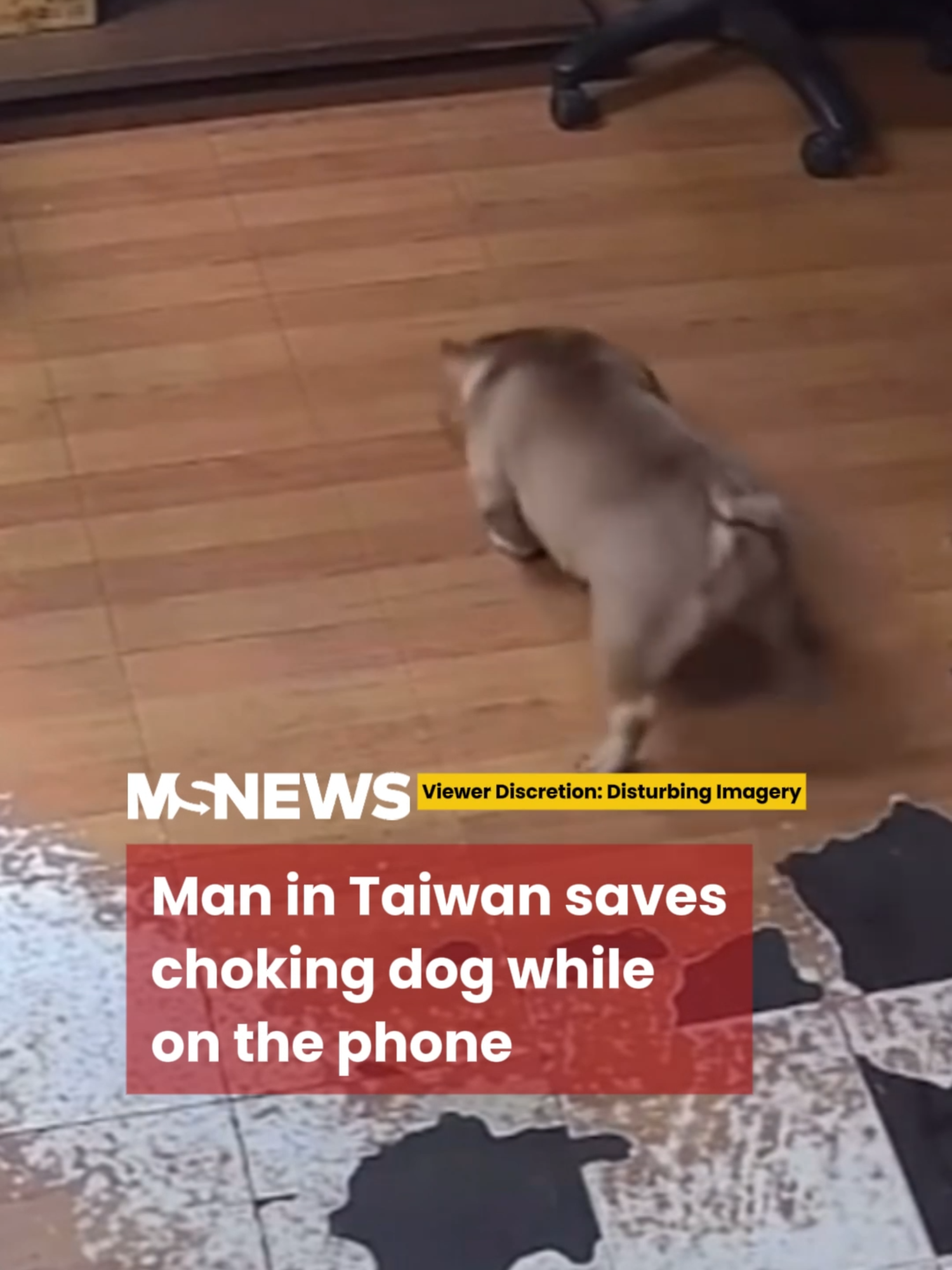 The man’s colleague, who was nearby, did not notice the choking dog until after the man reacted.#mustsharenews #tiktoksg #sgfyp #taiwan