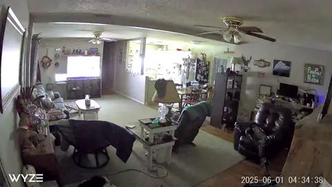 Part Two - after I went to bed- the chair attacks our unsuspecting puppies - and no one was hurt 🤣🤣🤣 and we caught Dobby peeing on the table too 🤣🤣🤣#fall #puppy #puppytiktok #fyp #chair #foryou 