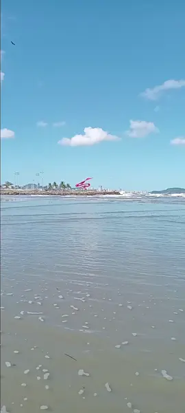 Praia José menino x ilha urubuqueçaba. ..santos sp 