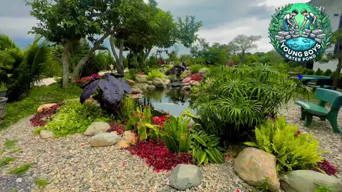 Kiểm tra định kỳ bể PPTN sau 3 tháng hoạt động cho chủ nhà Lâm Đồng 🤗 Mọi người cho đánh giá nhé 🥰  #viral #hocatunhien #hocakoi #hocaxepda #tieucanhsanvuon #youngboyswaterpond #xuhuong #Koipond #visinh 