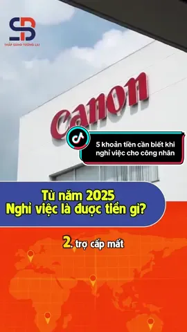 5 khoản tiền bạn cần biết để tránh bị thiệt khi nghỉ việc #vieclam #vieclamsaophuongbac #thapsangtuonglai #saophuongbac 