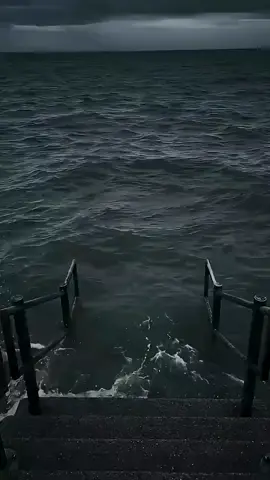 sẽ gầy phiên bản động vật 🌚🤣🤣