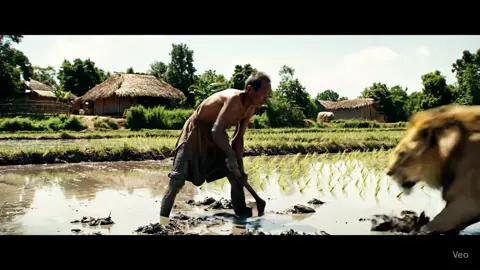 Sư tử ở nhà, ông lão còn chưa sợ. Ông lão hài hước😂 #gemini #ai #veo3 #haihuoc #vuinhon #xuhuong #viral 