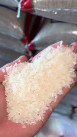 #fypage #mentikwangi #berassuper #berasbalap🏁 #fyp #petanimuda 