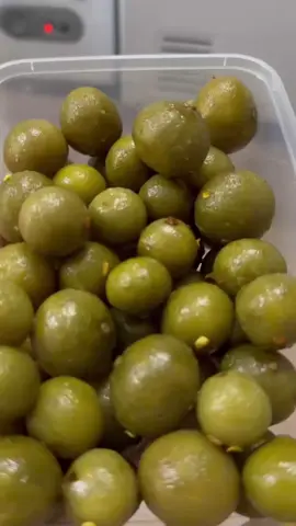 Ô mai sấu đặc sản người Hà Nội vụ mới 2025 siêu giòn , siêu ngon. Có vị cay nhẹ cực cuốn. Hộp 500gr #omaisau #omaisaubaotu #omaisaugion #hottrendtiktok #anvatcuccuon #videoxuhuong 