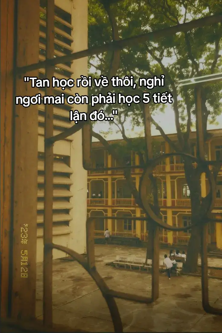 #dototnghiep #2k7 #thitotnghiep #thanhxuan #viral #hocsinhcap3 #typ 