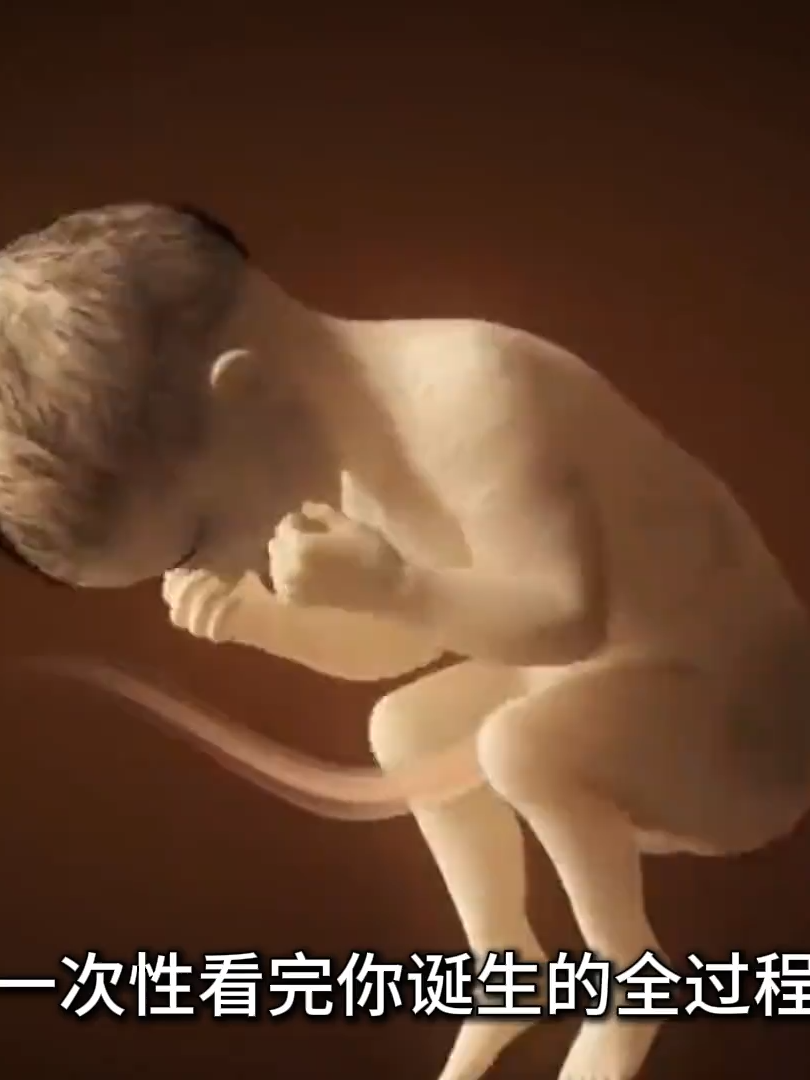 一次性看完人类诞生的全过程，从小蝌蚪到婴儿，感叹生命的伟大！  #宇宙 #涨知识 #推薦 #熱門 #fyp #科普 #知識 #知識分享