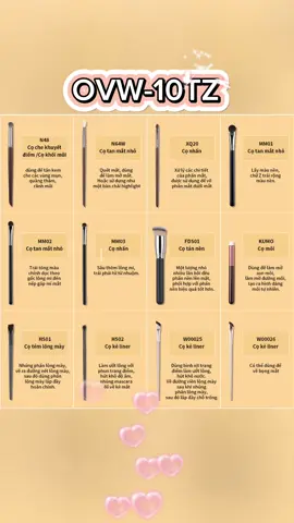 #coovw  10 bàn chải trang điểm được đề xuất bở Hứa Ngân Daily #ovwmakeupbrush #fyp #TikTokBeauty 