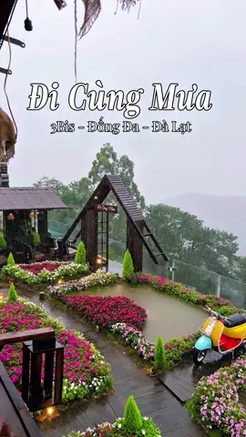Chiều mưa tại Đà Lạt  🌧️🌧️🌧️ 📍 Đi Cùng Mưa  #dalatreviewtravel #latnoitravel #dicungmua 