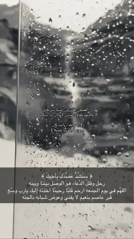 #قال_ربي_اغفرلي_ولأخي #اللهم_ارحم_موتانا_وموتى_المسلمين #اللهم_صلي_على_نبينا_محمد #صدقه_جاريه_لعاصم 